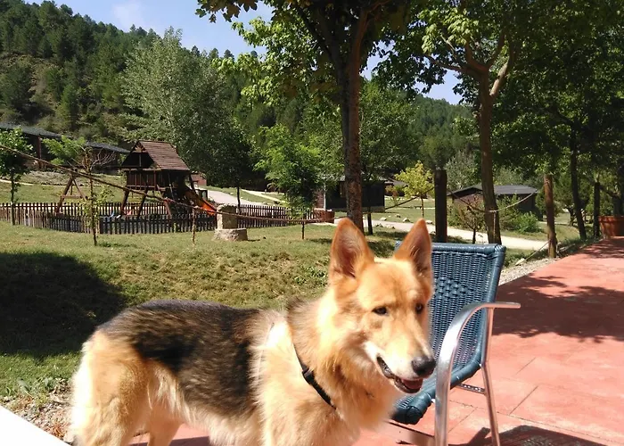 De Javalambre Camarena de la Sierra